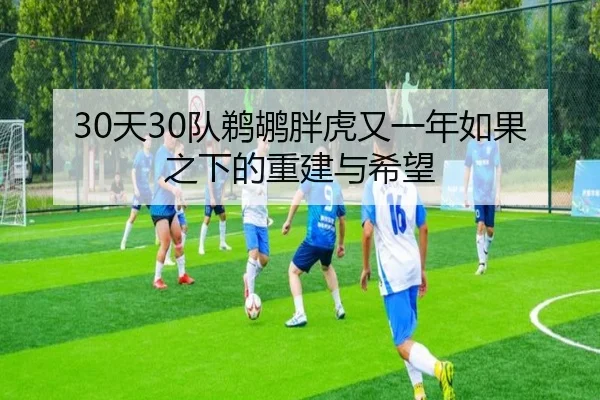 30天30队鹈鹕胖虎又一年如果之下的重建与希望